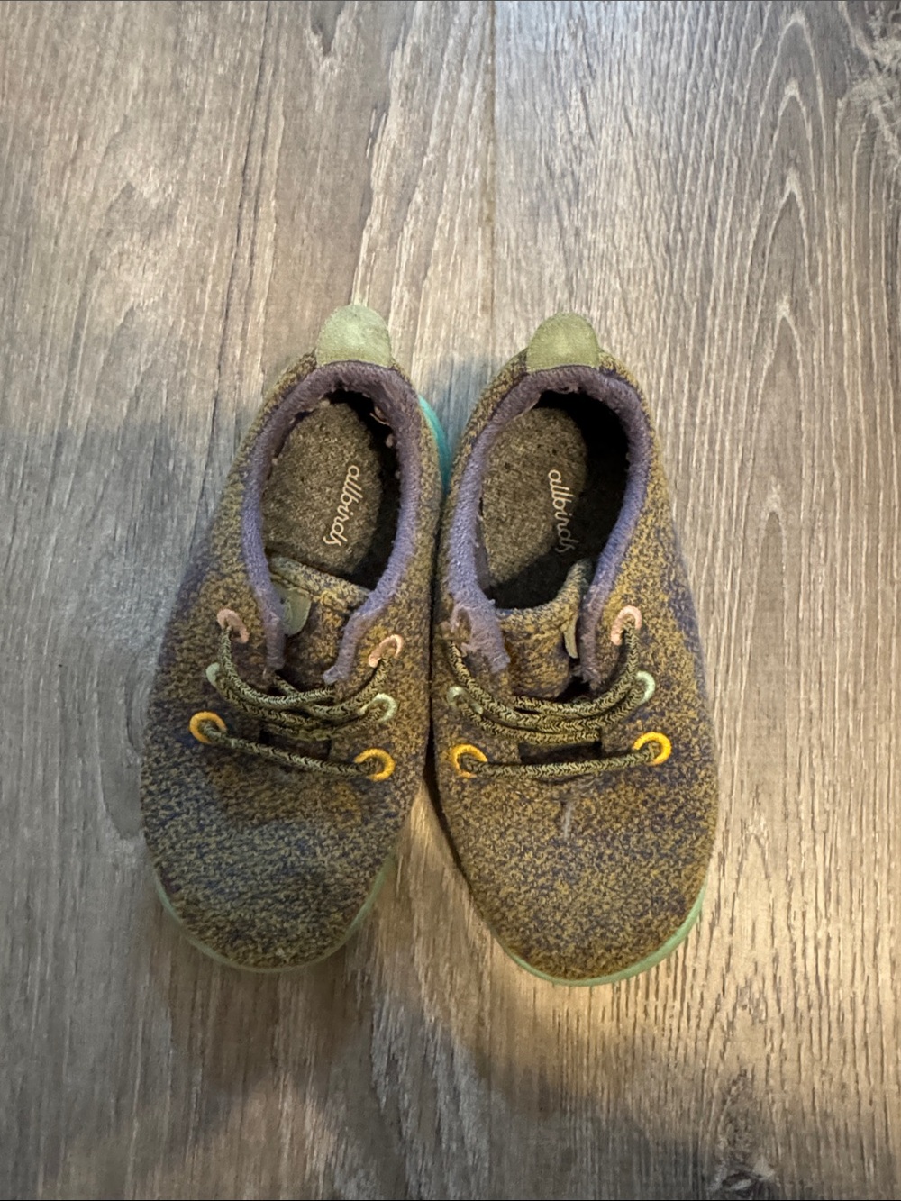 allbirds Kids Knit Sneakers in Olive and Purple Accents